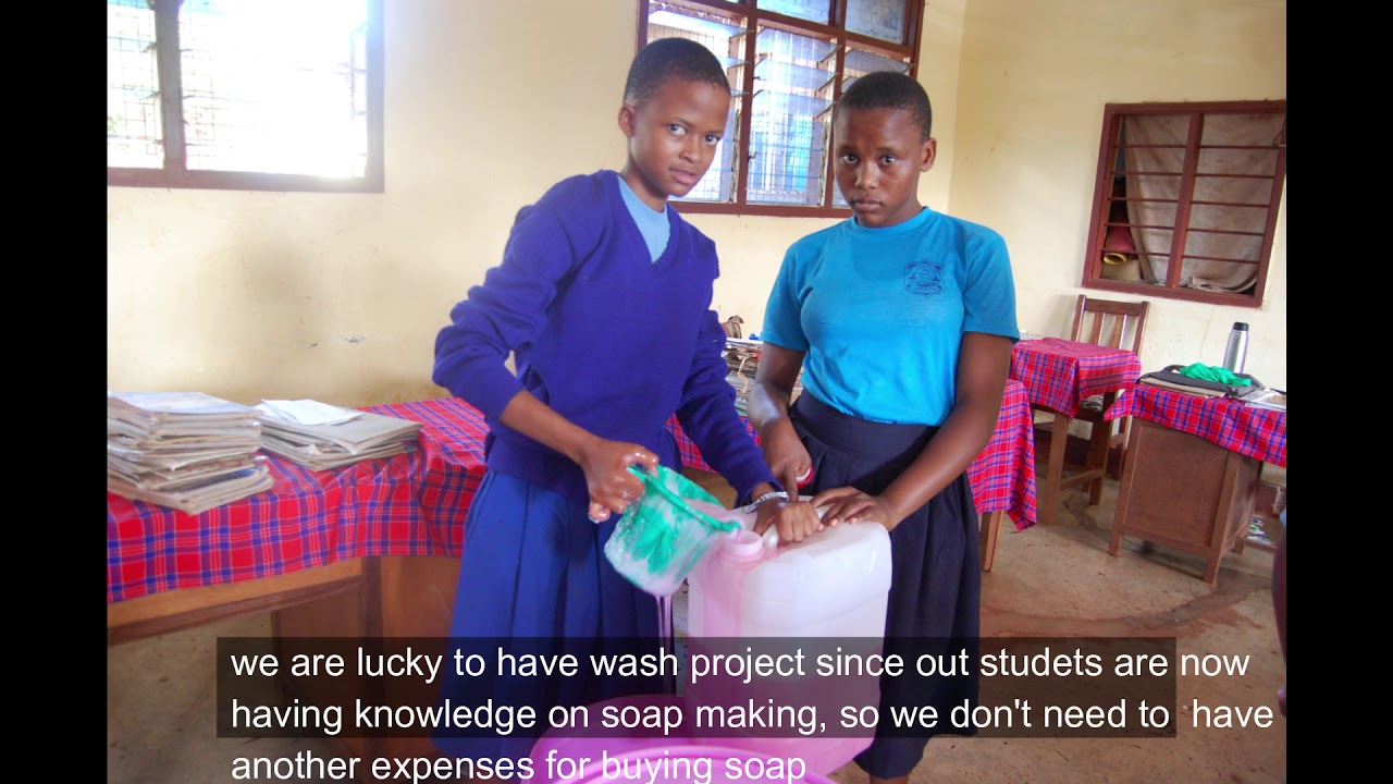 Water Sanitation and hygiene ( WASH)